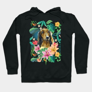 Tropical Long Haired English Cream Dachshund Doxie 2 Hoodie